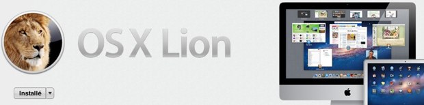 lioninternet