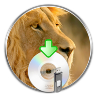 lion diskmaker